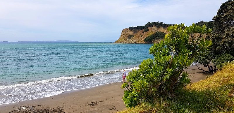 Best beaches in North Auckland, New Zealand