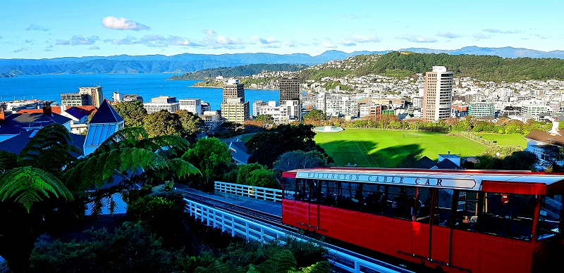 things to do in Wellington